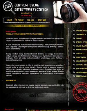strony wordpress tanio