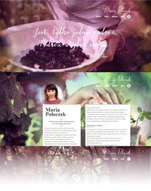 strony wordpress onepage