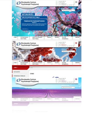 atrony wordpress tanio
